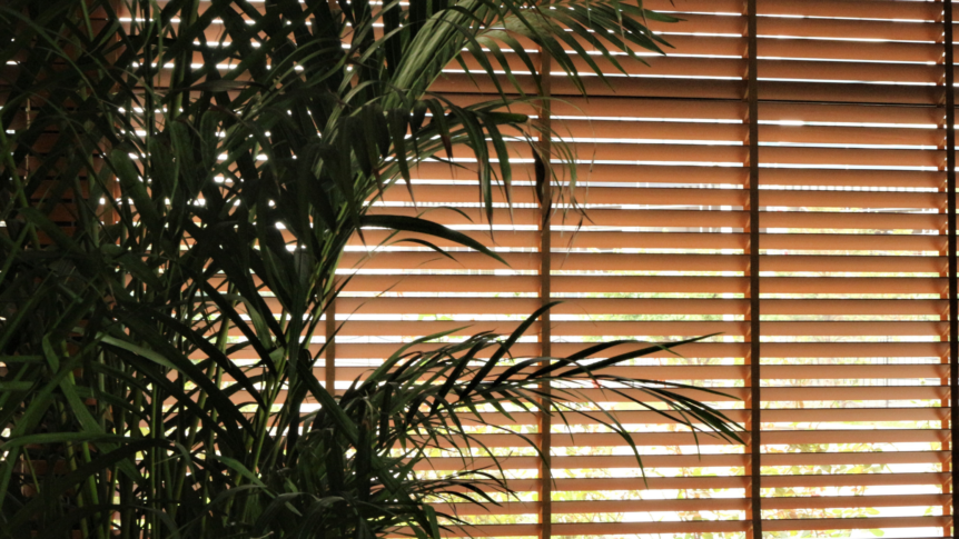 How Interior Designers Maximise Window Blinds